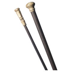 Noble matter - Two walking sticks - 19th century