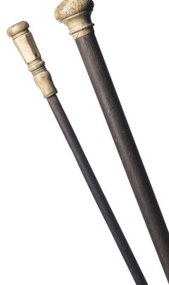 Noble matter - Two walking sticks - 19th century