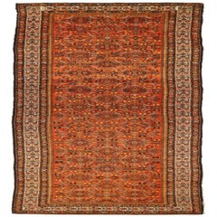 Alfombra Persa Malayer - 11744