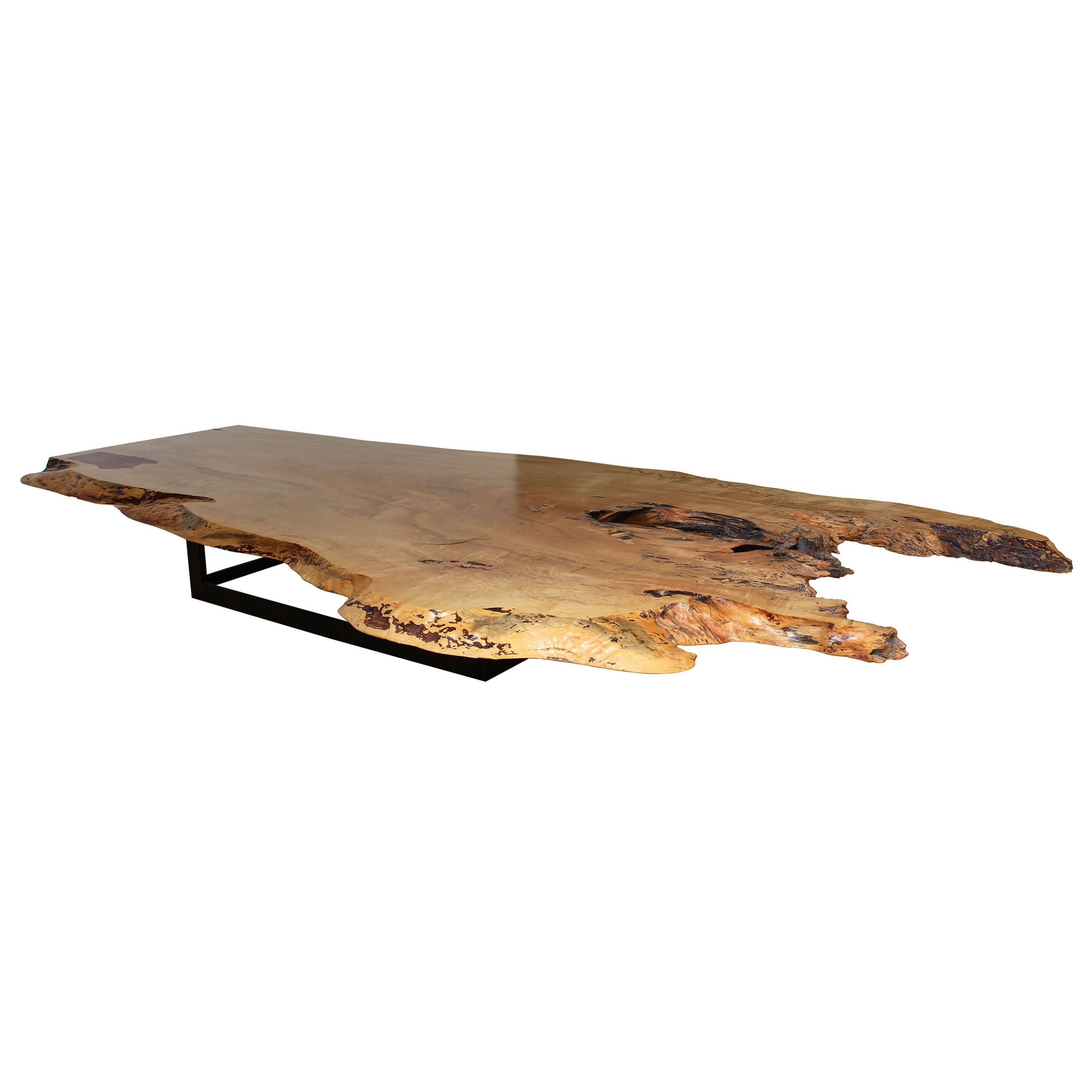 Spalted Maple Coffee Table For Sale
