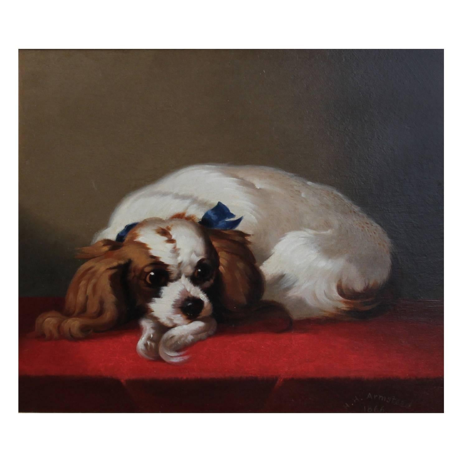 King Charles Cavalier Spaniel Dog Painting For Sale