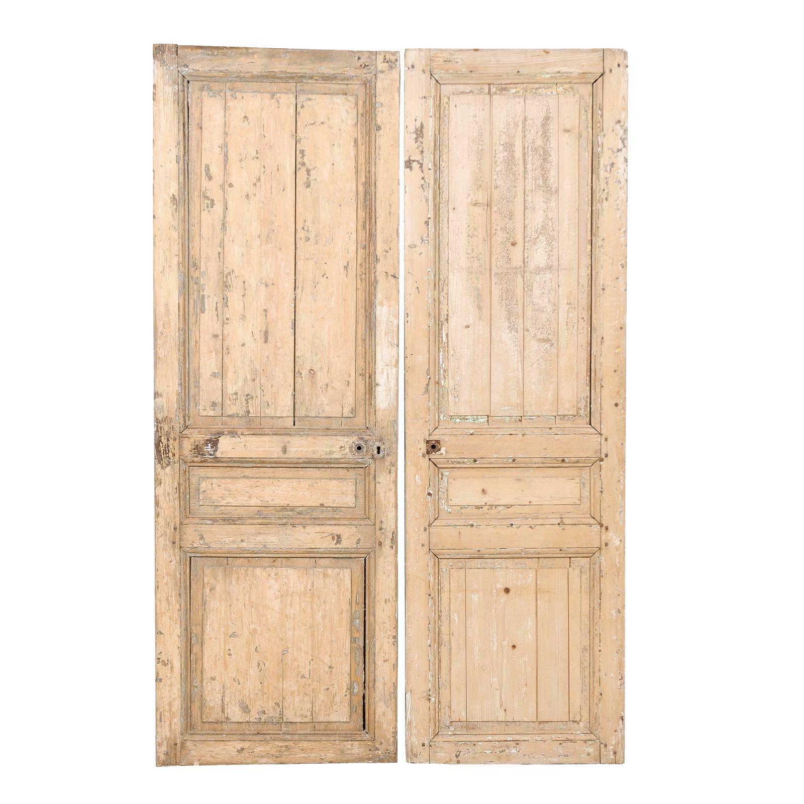Pair of 19th Century French Wooden Doors