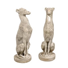 Pair of Vintage Carved Cement Greyhound Sculptures Sitting on Circular Bases