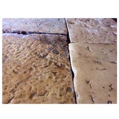 Pavimenti antichi in pietra, Antique French Flooring, Età originale 18° secolo