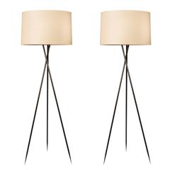 Monumental Bronze Floor Lamps