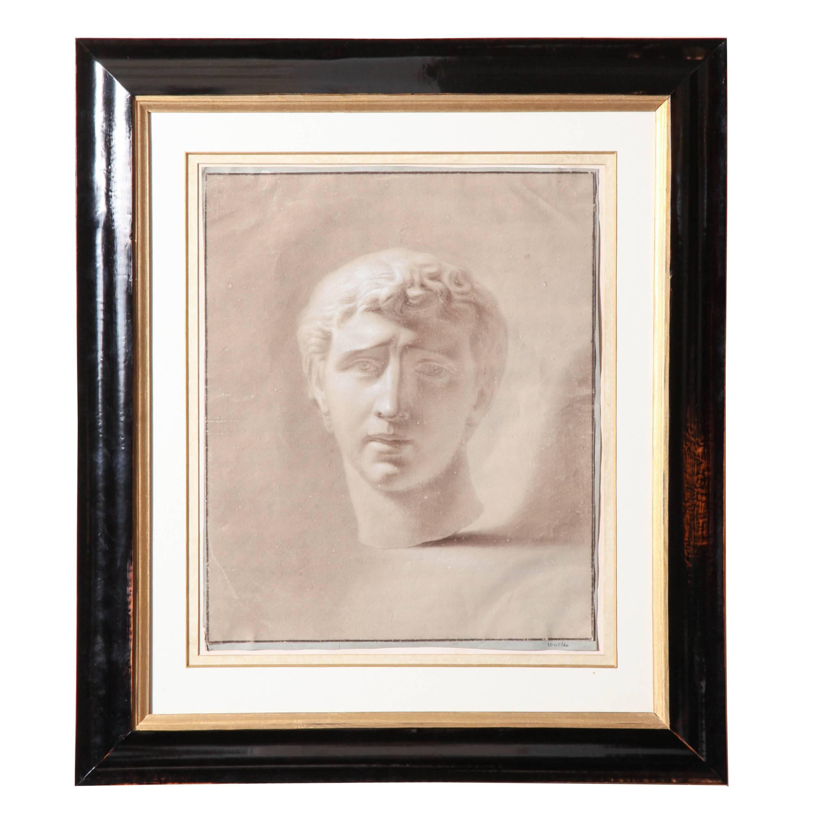 Sepia Drawing of a Caesar in an Ebonized Frame For Sale