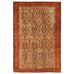 Antique Hand Knotted Wool Persian Sarouk Farahan Area Rug