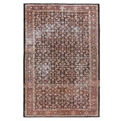 Black and Ivory Antique Mahal Rug