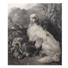 Antique Dog Etching of English and Gordon Setter 