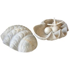 Pair of Hand Carved Marble Shells