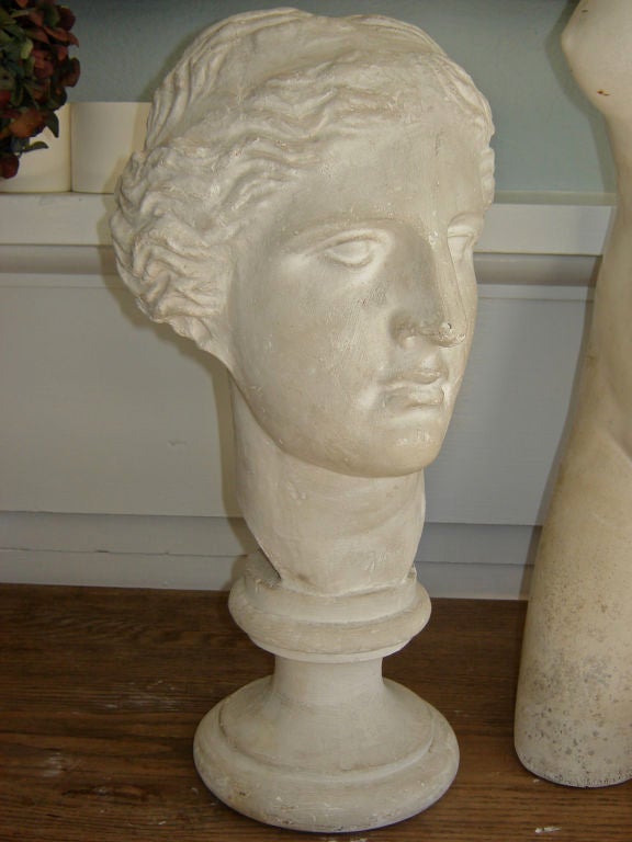 20th Century Collection of Classical Plaster Casts