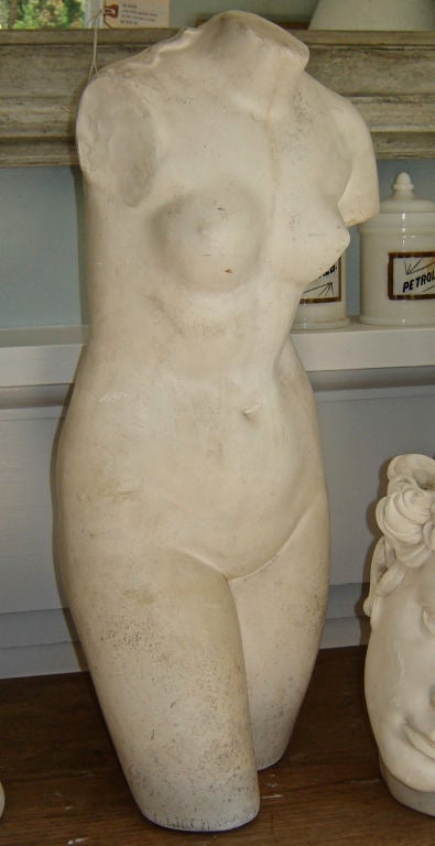 Collection of Classical Plaster Casts 2