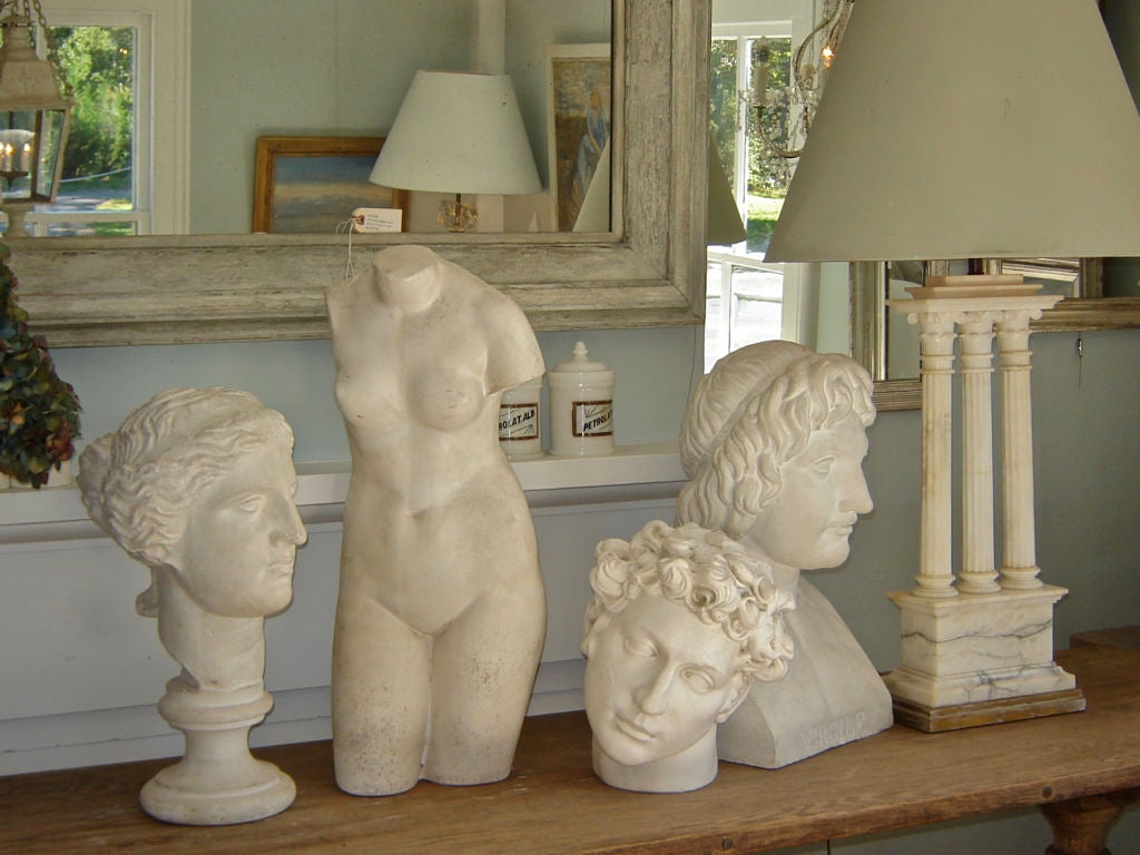 Collection of Classical Plaster Casts 4