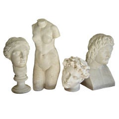 Collection of Classical Plaster Casts