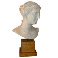 Plaster Head of Athena