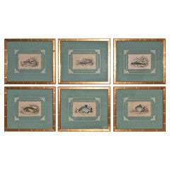 Antique Hand Colored Etchings of Fish