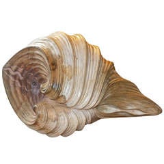 Large Carved Wooden Shell