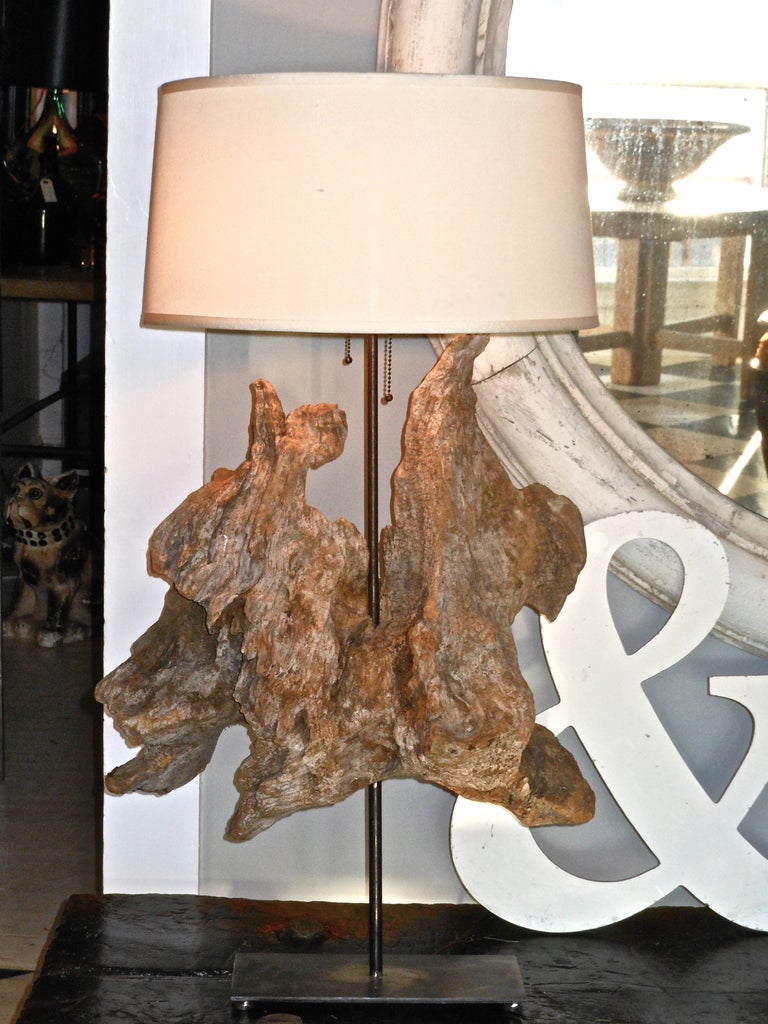 Driftwood Sciupture Lamp