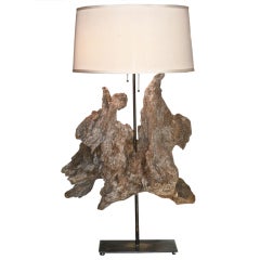  Driftwood Sciupture Lamp
