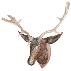 Antique Austrian Carved Stag's Head