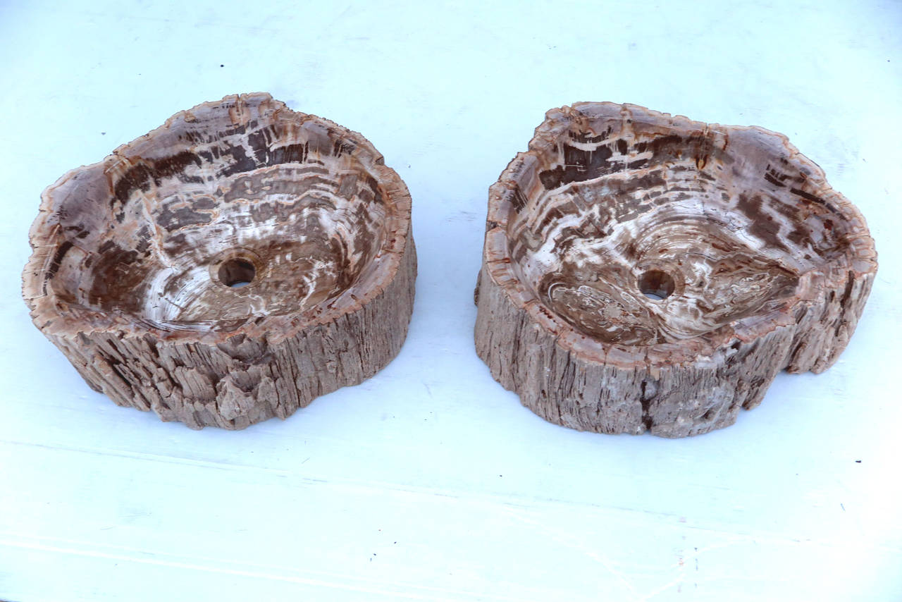 Sink basins made from petrified wood. Please contact for current availability.