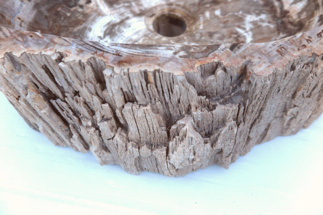 Petrified Wood Sinks In Good Condition For Sale In Bridgehampton, NY