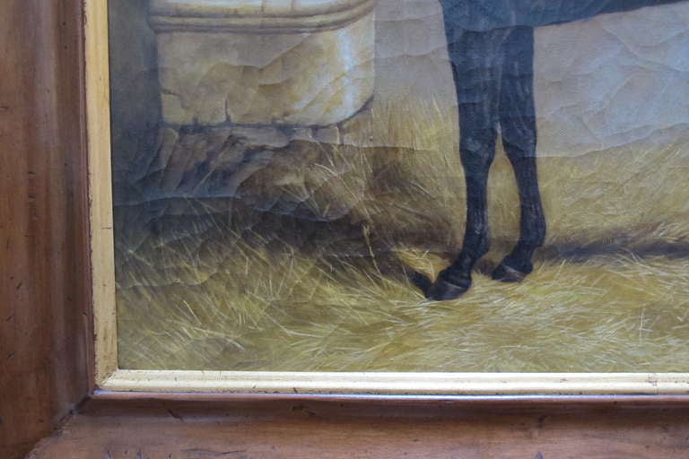 Contemporary English oil horse painting For Sale