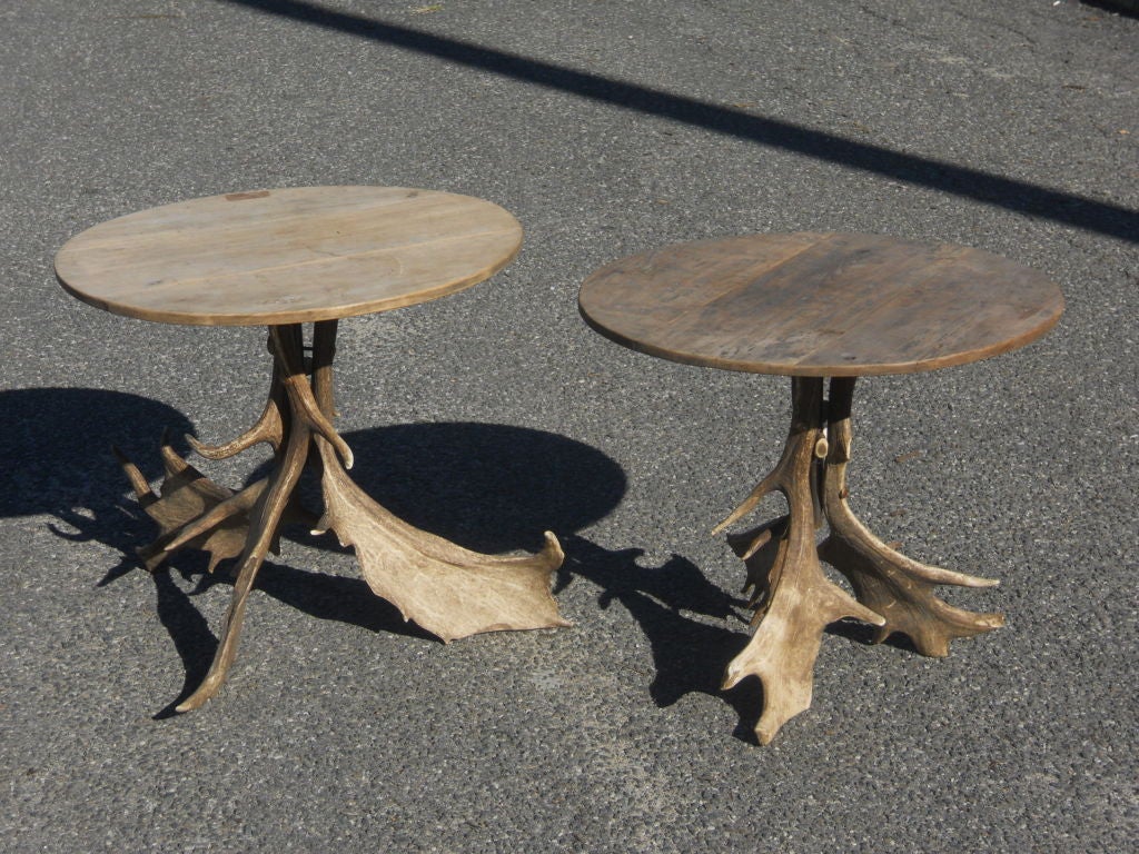 Elm Horn Side Tables