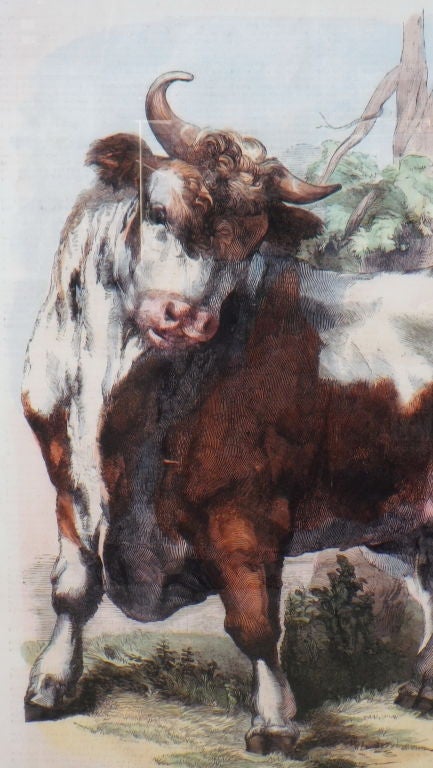 Limited Edition Agricultural Print