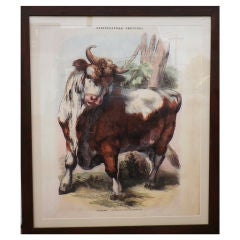 Limited Edition Agricultural Print