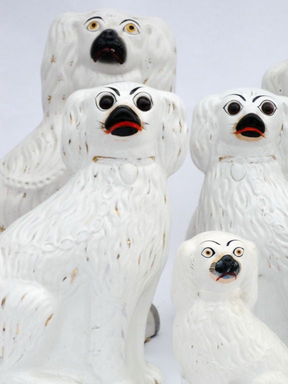 We carry pairs and singles of these higly decorative Staffordshire dogs, dated from 1890-1910, with orignal hand-painted faces, some with slight ware. sold in pairs or singles.<br />
$385 - $750 a pair