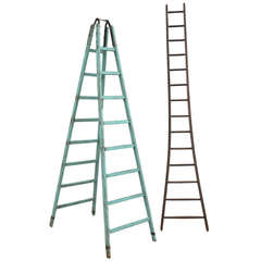 Selection of Apple Picking Ladders