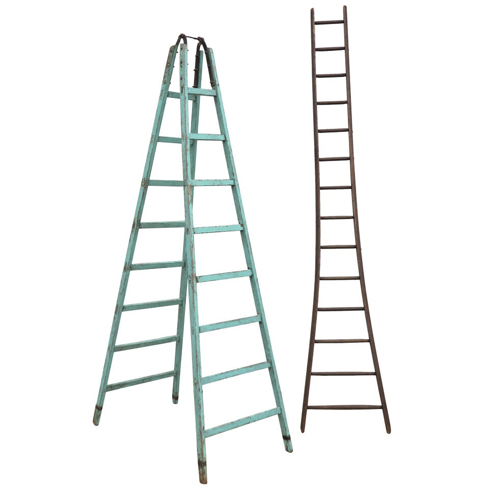 Selection of Apple Picking Ladders For Sale
