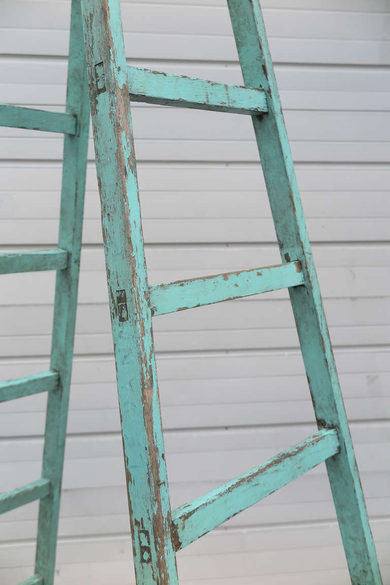 English Selection of Apple Picking Ladders For Sale