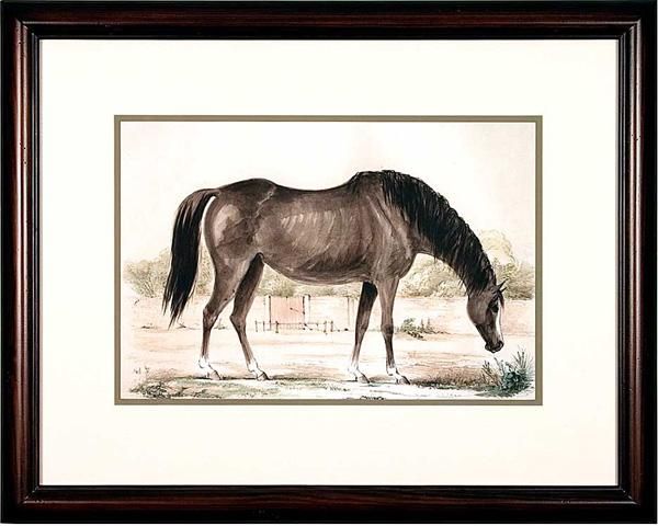 A series of fine art giclee prints taken from the original hand colored lithographs in Portraits of Brood Mares, belonging to the Royal Stud at Hampton Court. Published in London, ca. 1837. <br />
Sold Seperately.
