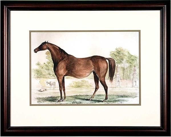 Contemporary Horse Prints For Sale