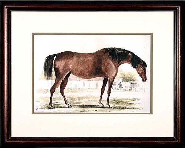 Pewter Horse Prints For Sale