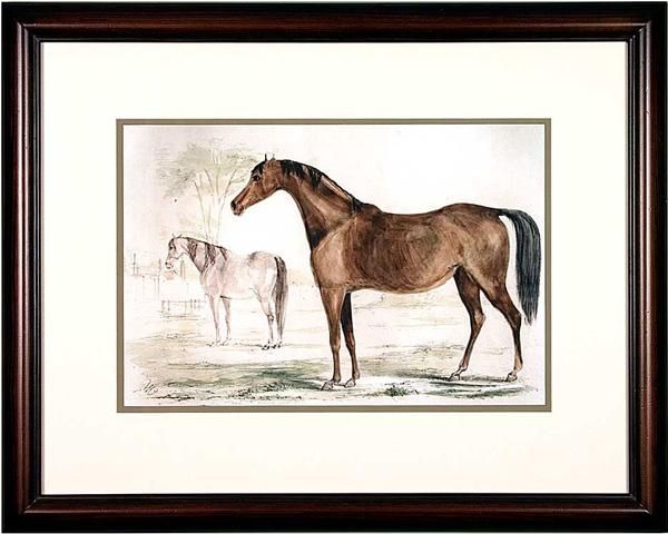 Horse Prints For Sale 1