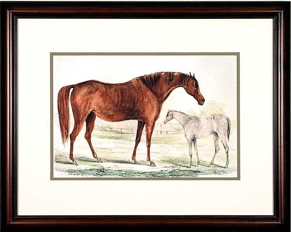 Horse Prints For Sale 2