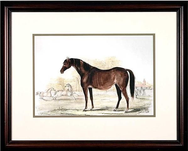 Horse Prints For Sale 3