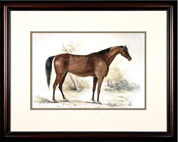 Horse Prints For Sale 4