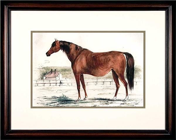 Horse Prints For Sale 5