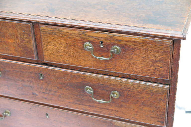 British 19th Century English Oak Dresser
