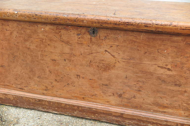 British English Pine Trunk For Sale