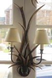 Natural Horn Wall Sconce