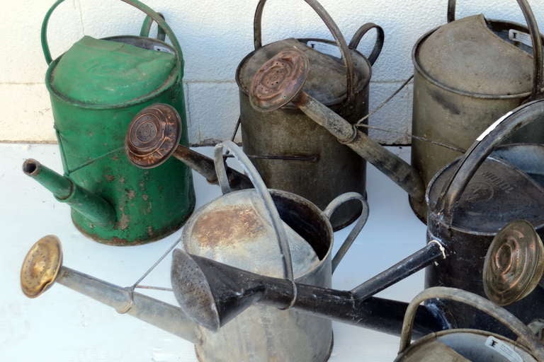 vintage watering cans