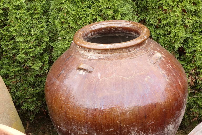 Very Large Portuguese Oil Storage Jars For Sale 3