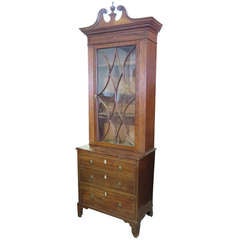 English 19th C Narrow Bookcase