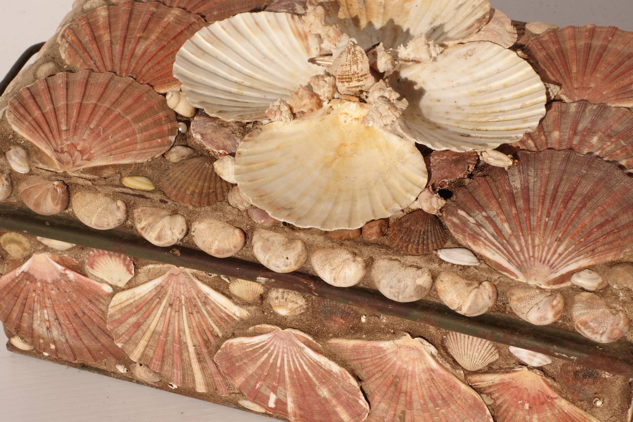 British Decorative Shell Box For Sale