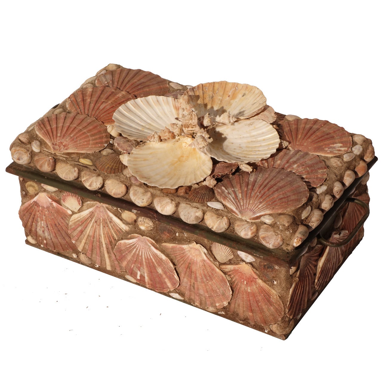 Decorative Shell Box For Sale